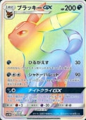 [SM1M]HRۥ֥åGX(069/060)SM1M