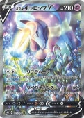 [s6H]SR[㤤]륮åV(075/070)s6H