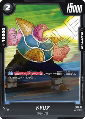 FS05-08 �ɥɥꥢ C