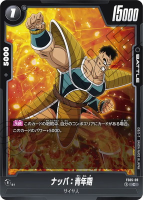 FS05-09 �ʥåѡ���ǯ�� C