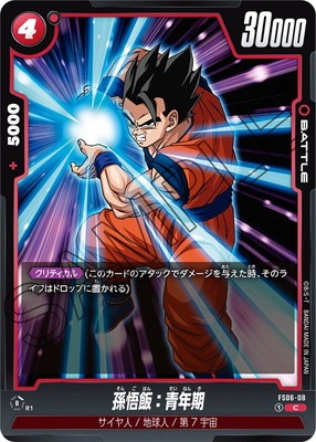FS06-08 孫悟飯：青年期 C | FS06 | ドラゴンボールスーパーカード