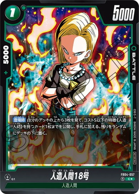 �ڥѥ����FB04-057 ��¤�ʹ�18�� C���ڥХȥ�ѥå�05��