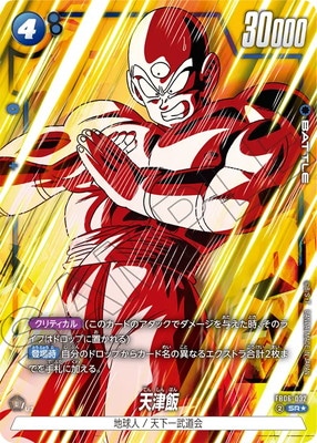 天津飯 プロモーションカード 2枚 000000002866_prK2Ybh.jpg