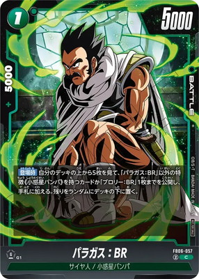 FB06-057 �ѥ饬����BR C�ڥ�ߥƥåɥѥå�02��