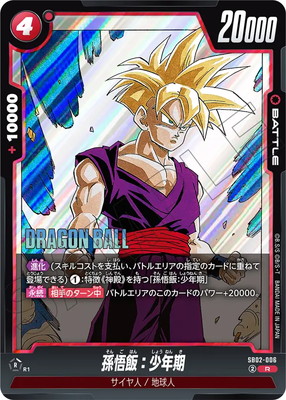 �ڥ����ʰ¡�SB02-006 ¹���ӡ���ǯ�� R