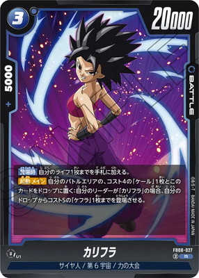 FB08-027 ����ե� R