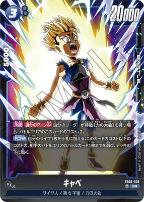 FB08-029 ����� SR