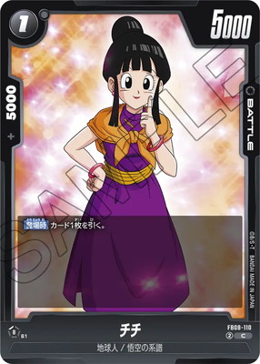 FB08-110 ���� C