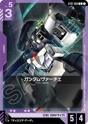 ST07-003 ���������������� C