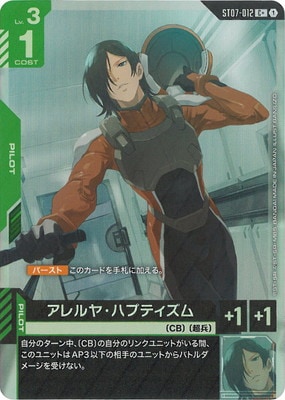 �ڥѥ����ST07-012 �����䡦�ϥץƥ����� C+