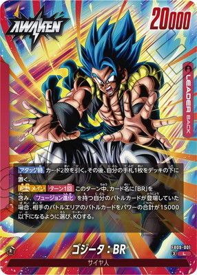 FB09-001 ����������BR L