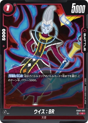 FB09-003 ��������BR C