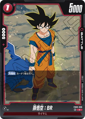 FB09-008 ¹�����BR C