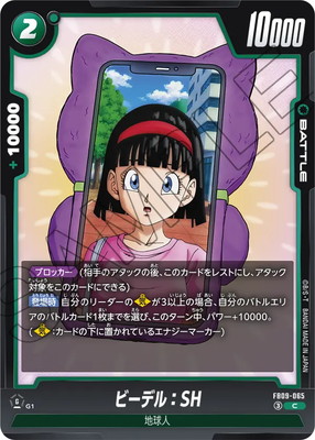 FB09-065 �ӡ��ǥ롧SH C