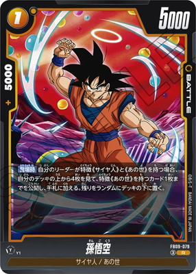 FB09-079 ¹��� R