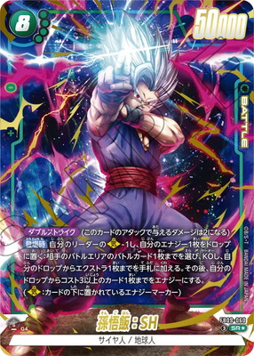 �ڥѥ����FB09-060 ¹���ӡ�SH SR��