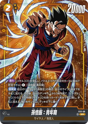 FS11-09 ¹���ӡ���ǯ�� SR