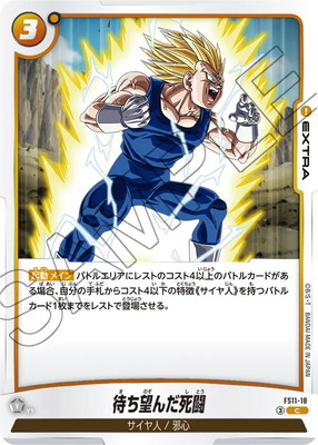 FS11-18 �Ԥ�˾�����Ʈ C