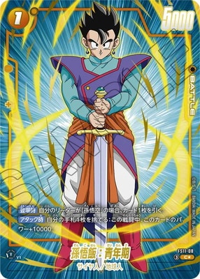 �ڥѥ����FS11-08 ¹���ӡ���ǯ�� C��