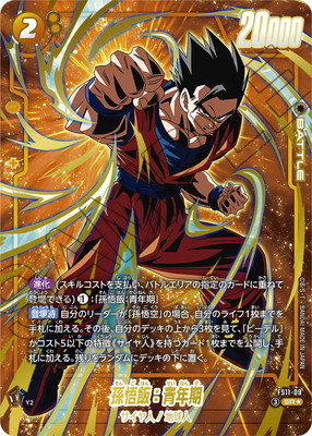 �ڥѥ����FS11-09 ¹���ӡ���ǯ�� SR��