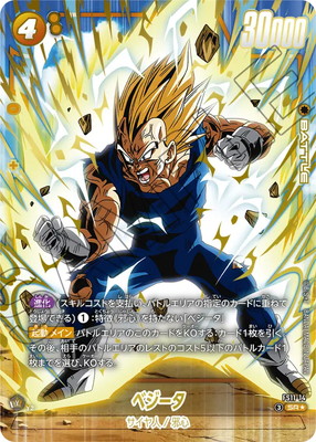 �ڥѥ����FS11-14 �٥����� SR��