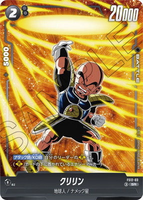 FS12-03 ������ SR