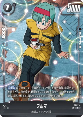 FS12-14 �֥�� C