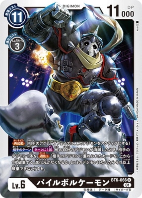 BT6-066 �ѥ���ܥ륱����� U