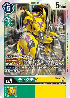 BT8-051 �ǥ������ R