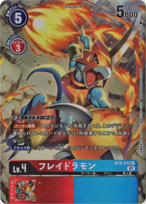 ڥѥBT8-012 ե쥤ɥ R