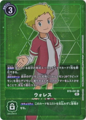�ڥ����ʰ¡ۡڥѥ����BT8-091 �����쥹 R