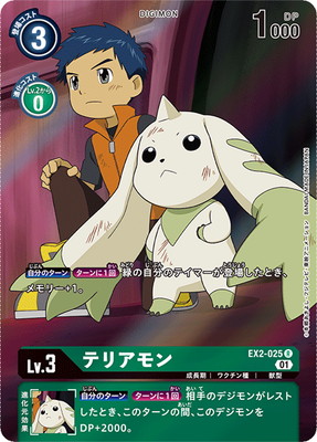 �ڥѥ����EX2-025 �ƥꥢ��� R