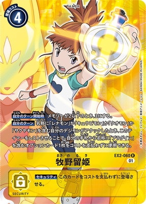 �ڥѥ����EX2-060 ����αɱ R