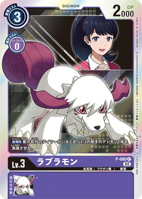 P-080 ��֥��� P