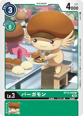 BT12-046 �С������ C