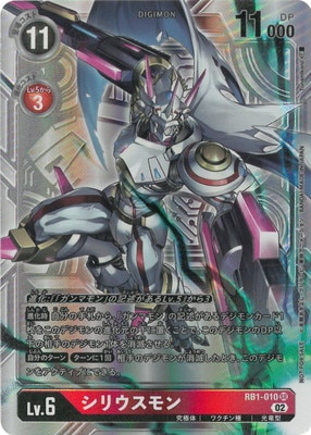 �ڥѥ����RB1-010 ���ꥦ����� SR�ڶ��طʡ�