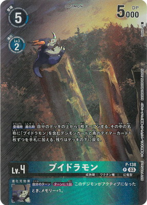 P-138 �֥��ɥ��� P