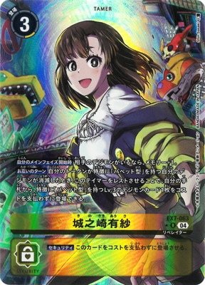 �ڥѥ����EX7-063 ��Ƿ��ͭ�� R