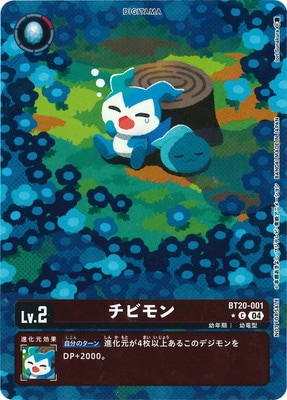ڥѥBT20-001 ӥ C