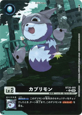 ڥѥBT20-005 ץ C