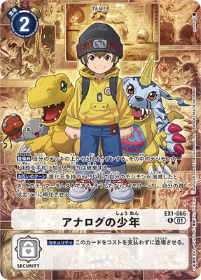 ��LM-05�ۡڥѥ����EX1-066 ���ʥ����ξ�ǯ R