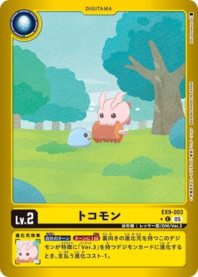 �ڥѥ����EX9-003 �ȥ���� C