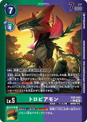 �ڥѥ����EX9-042 �ȥ��ԥ���� C