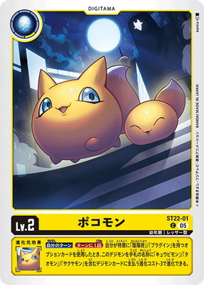 ST22-01 �ݥ���� C