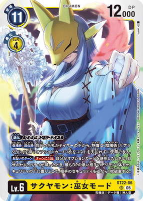 ST22-06 ������������⡼�� SR