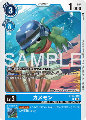 BT24-019 ������ C