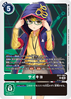 EX11-063 �������� R