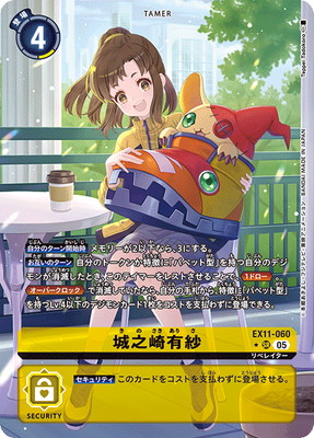 �ڥѥ����EX11-060 ��Ƿ��ͭ�� SR