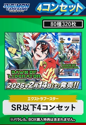 宅配便のみ】【EX-11】DAWN OF LIBERATOR SR以下4コンセット
