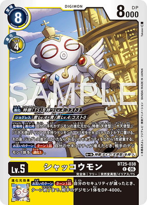 BT25-038 ����å������ C